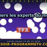Cleaners les experts du ménage