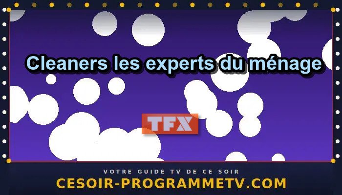 Cleaners les experts du ménage
