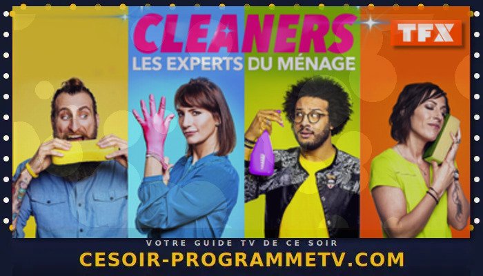 Cleaners les experts du ménage