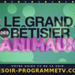 Le grand bêtisier des animaux