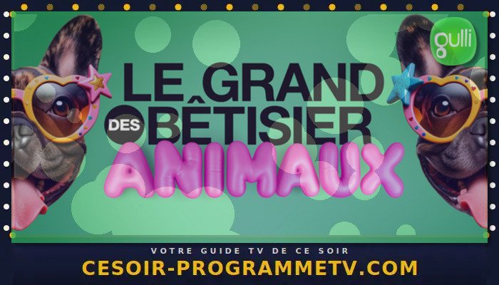 Le grand bêtisier des animaux