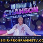 On connaît la chanson — Céline Dion