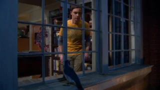 Big Bang Theory - Saison 5