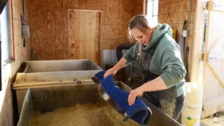 Alaska : La ruée vers l'or