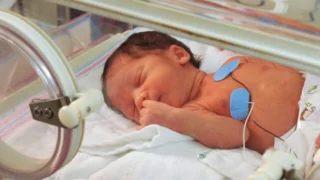 Baby boom