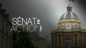 Sénat en action