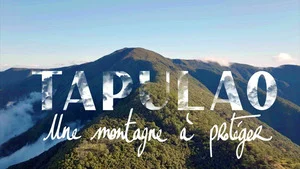 Tapulao, une montagne à protéger (Tapulao, la fuite vers le sommet)
