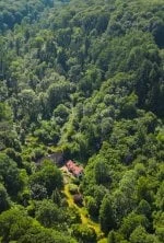 La vie secrète des jardins britanniques