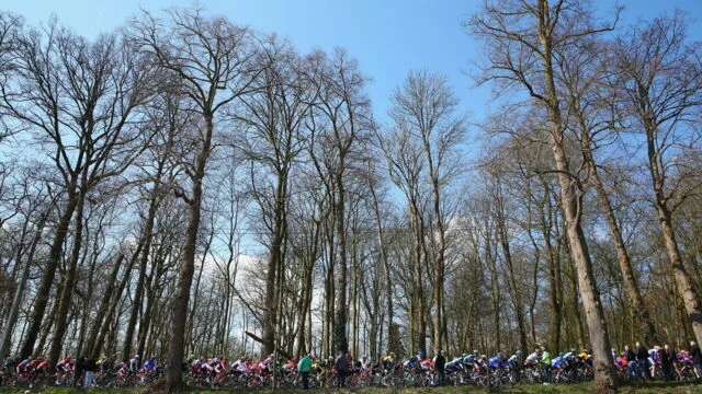 Cyclisme : Tour des Flandres