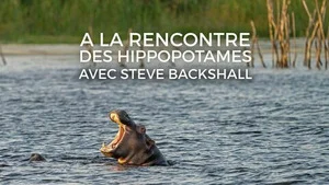 A la rencontre des hippopotames avec Steve Backshall S1 (n°2)