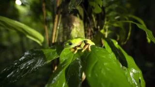 Traqueur de serpents - Saison 1