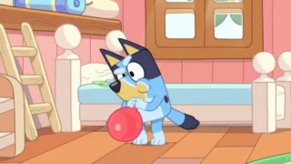 Bluey