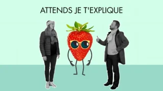 Attends j't'explique
