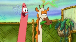 Patrick Super Star