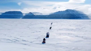 Arctique, l'océan blanc