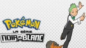 Pokémon: Noir et Blanc (Les intrus de la grotte Electrolithe !) S15 (14/49)