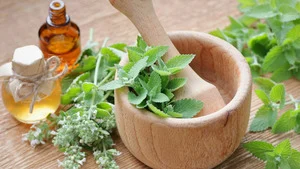 Mysteries of Ancient Medicine (Le mal du roi, le crâne du lépreux, les traitements antiques contre le cancer) S1 (n°10)