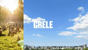 Réflexe !