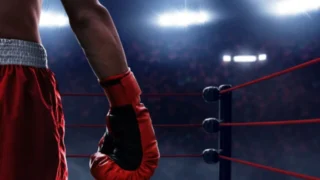Boxe : Zuffa Boxing