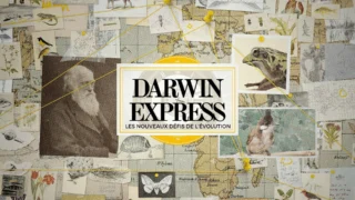 Darwin express - Les nouveaux défis de l'évolution