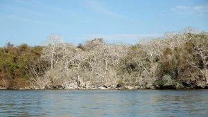 Koh-Lanta S29