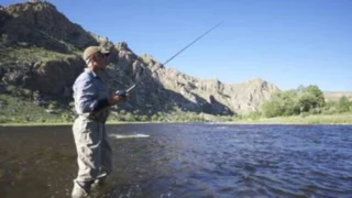 River Monsters