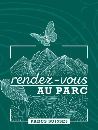 Rendez-vous au parc