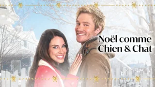 Noël comme chien et chat
