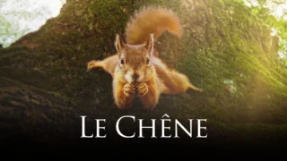 Le Chêne