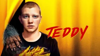 Teddy