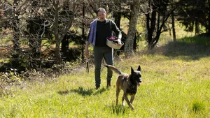 Le voyageur *2019 (La forêt perchée) S2 (n°6)