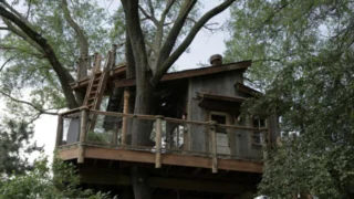 Cabanes perchées