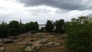 La civilisation des arbres