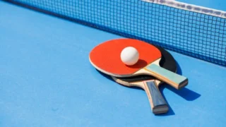 Tennis de table : WTT Champions de Francfort
