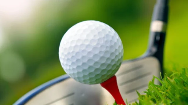 Golf : HotelPlanner Tour, Grand Final