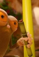 Les as de la jungle à la rescousse
