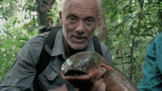 River Monsters