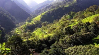 Ushuaïa Nature