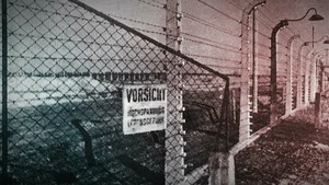 Ascension et déclin du nazisme (Les portes de l'Enfer 1941-1942) S1 (7/10)