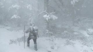 Le Chant des forêts