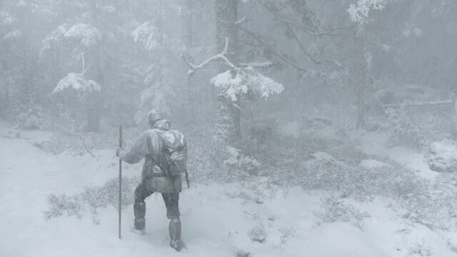 Le Chant des forêts