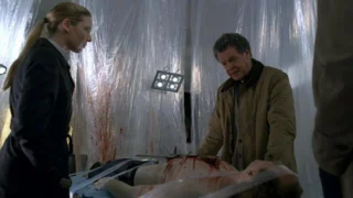 Fringe - Saison 3