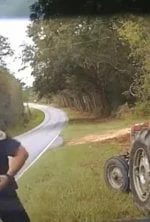 Sur le vif : vidéos insolites