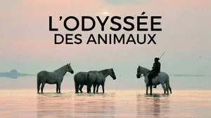 L'odyssée des animaux (Le voyage du cheval d'Eurasie) S1 (4/5)