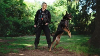 Police Criminelle 24h/24 - Saison 2