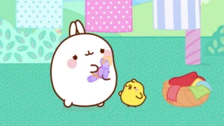 Molang