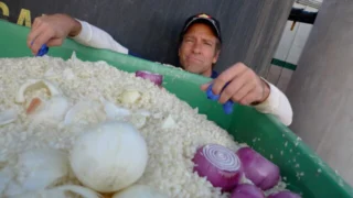 Dirty Jobs