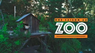 Une saison au zoo