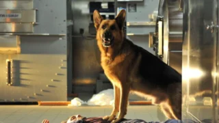 Rex