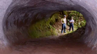 Incroyables histoires - Saison 1
